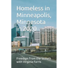 Homeless in Minneapolis, Minnesota in 2020
