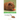 Guinea Pig: Your Happy Healthy Pet