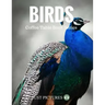 Birds: Coffee Table Book Series