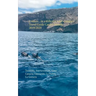 Cruises... in a different way! Compact Travel Guide Canary Islands 2019/2020: Teneriffa, Fuerteventura, Gran Canaria, Lanzarote, La Palma, La Gomera