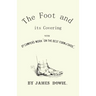 The Foot and Its Covering with Dr. Campers Work on the Best Form of Shoe