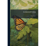Coleoptera