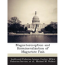 Magnetoreception and Biomineralization of Magnetite Fish