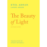 The Beauty of Light: An Interview