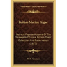 British Marine Algae: Being A Popular Account Of The Seaweeds Of Great Britain, Their Collection And Preservation (1873)