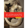 Elephants