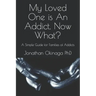 My Loved One is An Addict. Now What?: A Simple Guide for Families of Addicts