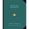 Moths and Butterflies