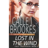 Lost in the Wind