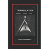 Triangulation Explained with Stories of Manipulation, Deception, and Control: Understanding Triangulation Tactics, Drama Triangle, Effects of Triangul