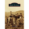 New Glarus