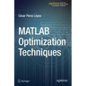 MATLAB Optimization Techniques
