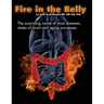 Fire In The Belly: The Surprising Cause of Most Diseases, States Of Mind and Aging Processes