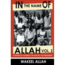 In the Name of Allah Vol. 2: A History of Clarence 13x and the Five Percenters