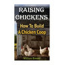 Raising Chickens: How To Build A Chicken Coop