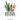 The Real Hoodia Weight Loss Secrets: And About Everything Else You Could, Should and Would EVER Want to Know About This Amazingly Unique Herb