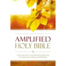 Amplified Outreach Bible, Paperback: Capture the Full Meaning Behind the Original Greek and Hebrew