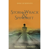 Storm Wrack & Spindrift