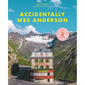 Accidentally Wes Anderson