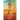 Transformation Summer