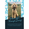 From God, Through Daisy: A Thirty-Day Devotional to Grow Your Awareness of God's Presence in Simple, Everyday Moments