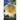 Syntropy: The Spirit of Love