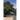 Trees of Central Texas