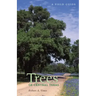 Trees of Central Texas