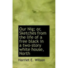 Our Nig; or, Sketches from the life of a free black in a two-story white house, North