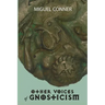 Other Voices of Gnosticism: Interviews with leading writers and scholars including Tobias Churton, Nicola Denzey-Lewis, Richard Smoley, Gary Lachm