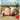 Keeping Pigs: The Complete Practical Guide for Pleasure or Profit