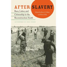 After Slavery: Race, Labor, and Citizenship in the Reconstruction South