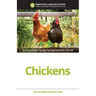 Chickens
