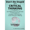 Don't Be Stupid about Critical Thinking: DontBeStupid.club Reveals 11 Principles for Problem Solving and Good Decision Making