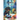 Cyanea