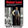 Violent Land: Single Men and Social Disorder from the Frontier to the Inner City