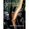 Millipeds in Captivity: Diplopodan Husbandry and Reproductive Biology (Millipede Husbandry)