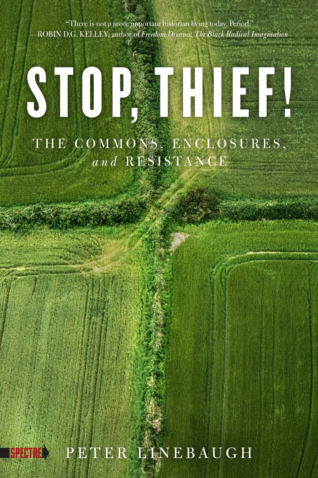 Stop, Thief! - Peter Linebaugh by Working Class History | Shop