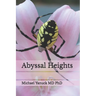 Abyssal Heights