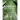 Forests