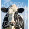 Cow Cow Cow: a book for cow obsessed kids