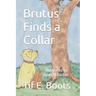 Brutus Finds a Collar