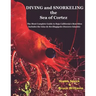 Diving and Snorkeling Baja California's Sea of Cortez: The Most Complete Guide to Baja California's Best Sites - Includes the Islas de Revillagigedo (