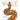 Snake: The Essential Visual Guide