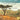 The Great Rift Valley Lakes: The Wildlife of Ethiopia in Somali and English
