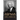 The History of the Negro Church