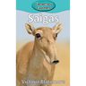 Saigas