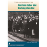 The Archaeology of American Labor and Working-Class Life