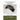 Irish Wolfhound From Puppy to Adult: A Basic Guide to Understanding This Giant Breed