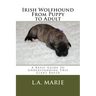 Irish Wolfhound From Puppy to Adult: A Basic Guide to Understanding This Giant Breed